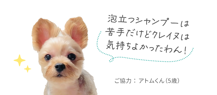 泡立つシャンプーは苦手だけどクレイヌは気持ちよかったわん!