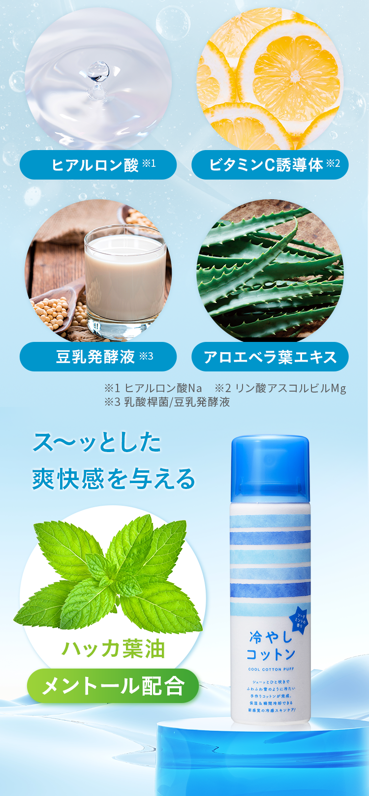 ヒアルロン酸 ビタミンC誘導体 豆乳発酵液 アロエベラ葉エキス ハッカ葉油 メントール配合