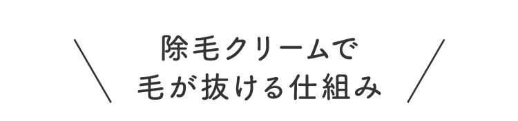 除毛クリームで毛が抜ける仕組み