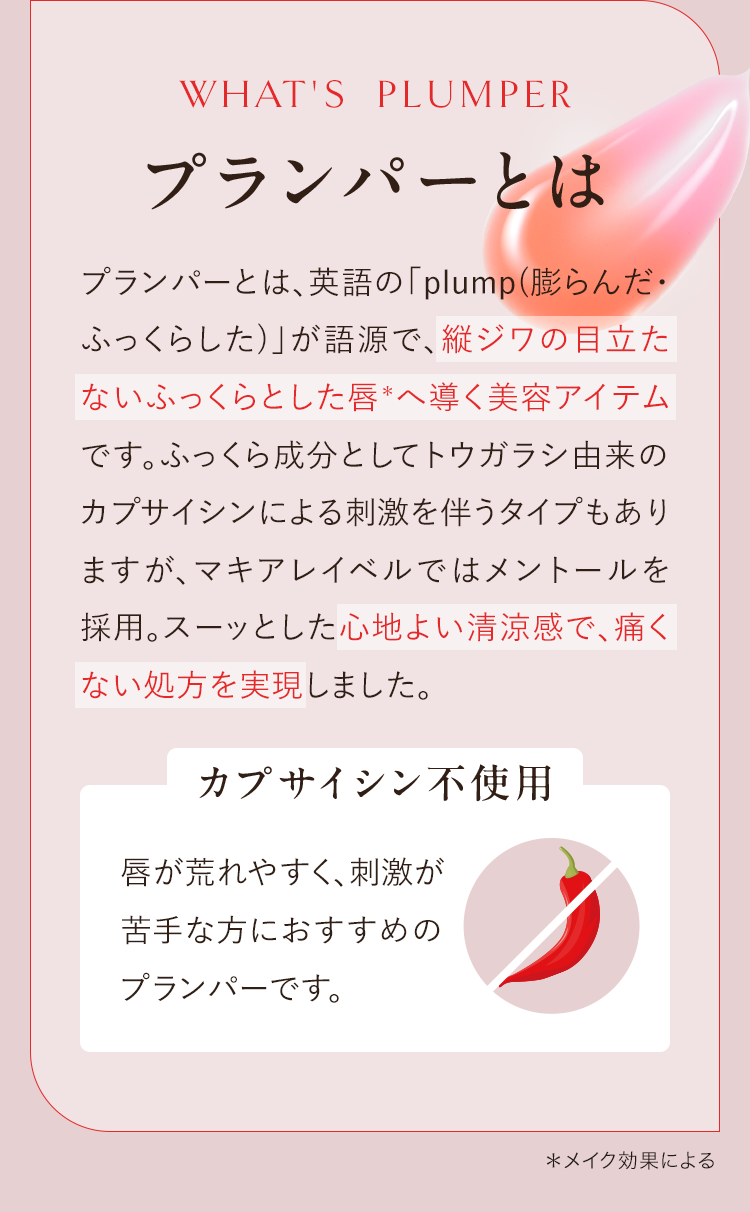 プランパーとは