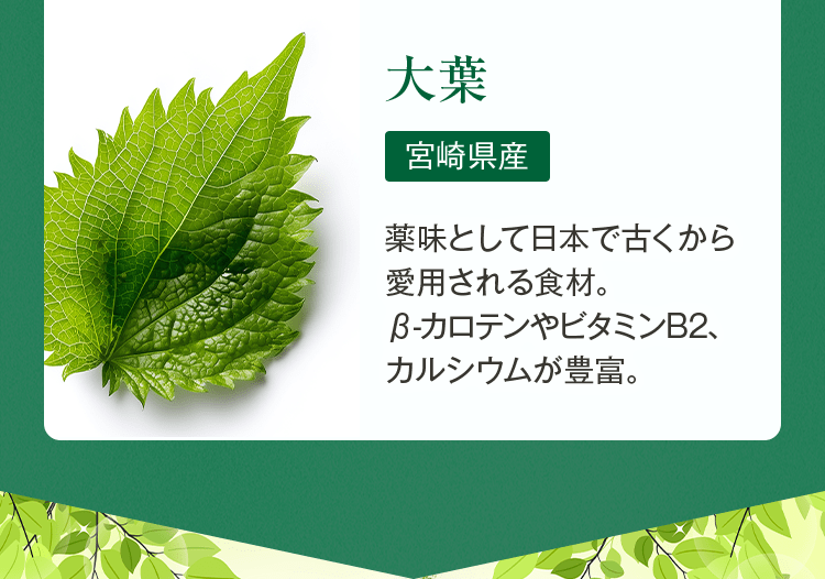 ・大葉[宮崎県産]