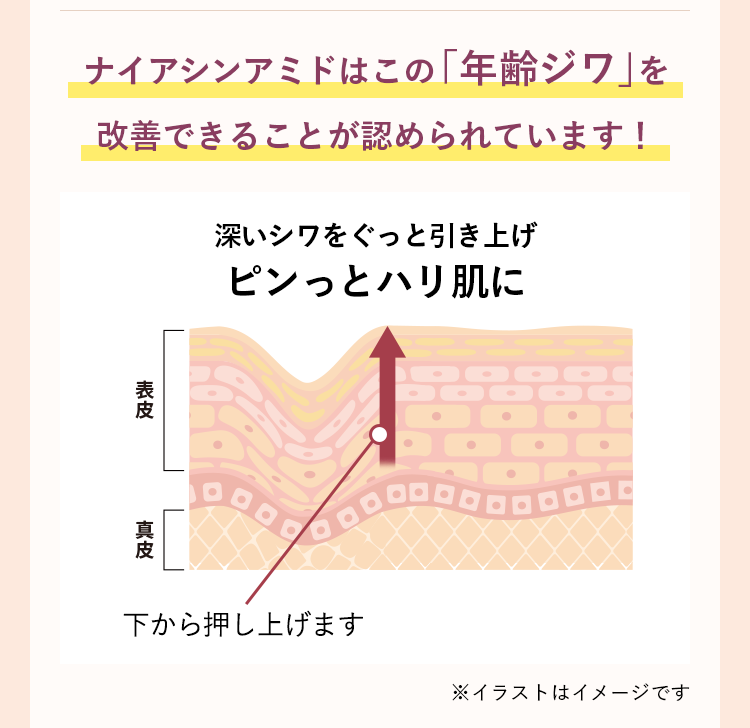 ナイアシンアミドはこの「年齢ジワ」を改善できることが認められています！
