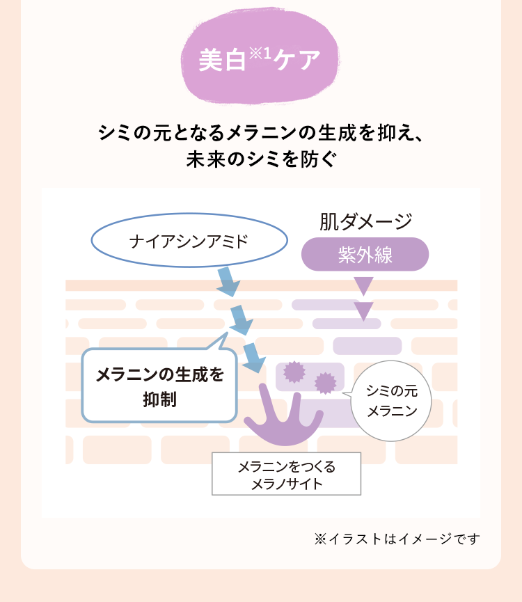 美白※1ケア　シミの元となるメラニンの生成を抑え、未来のシミを防ぐ