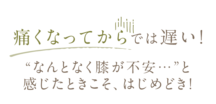 痛くなってからでは遅い！“なんとなく膝が不安…”と感じたときこそ、はじめどき！