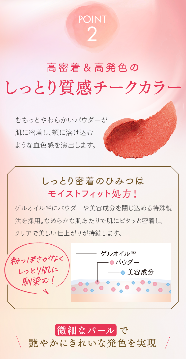 POINT2 高密着＆高発色のしっとり質感チークカラー