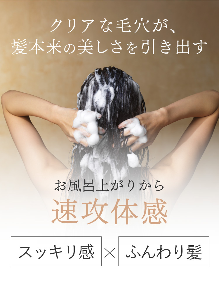 クリアな毛穴が、髪本来の美しさを引き出す お風呂上がりから速攻体感 スッキリ感×ふんわり髪