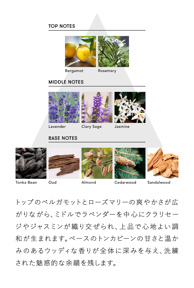 トップのベルガモットとローズマリーの爽やかさが広がりながら、ミドルでラベンダーを中心にクラリセージやジャスミンが織り交ぜられ、上品で心地よい調和が生まれます。ベースのトンカビーンの甘さと温かみのあるウッディな香りが全体に深みを与え、洗練された魅惑的な余韻を残します。