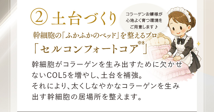 2.土台づくり 幹細胞の「ふかふかのベッド」を整えるプロ「セルコンフォートコア※8」