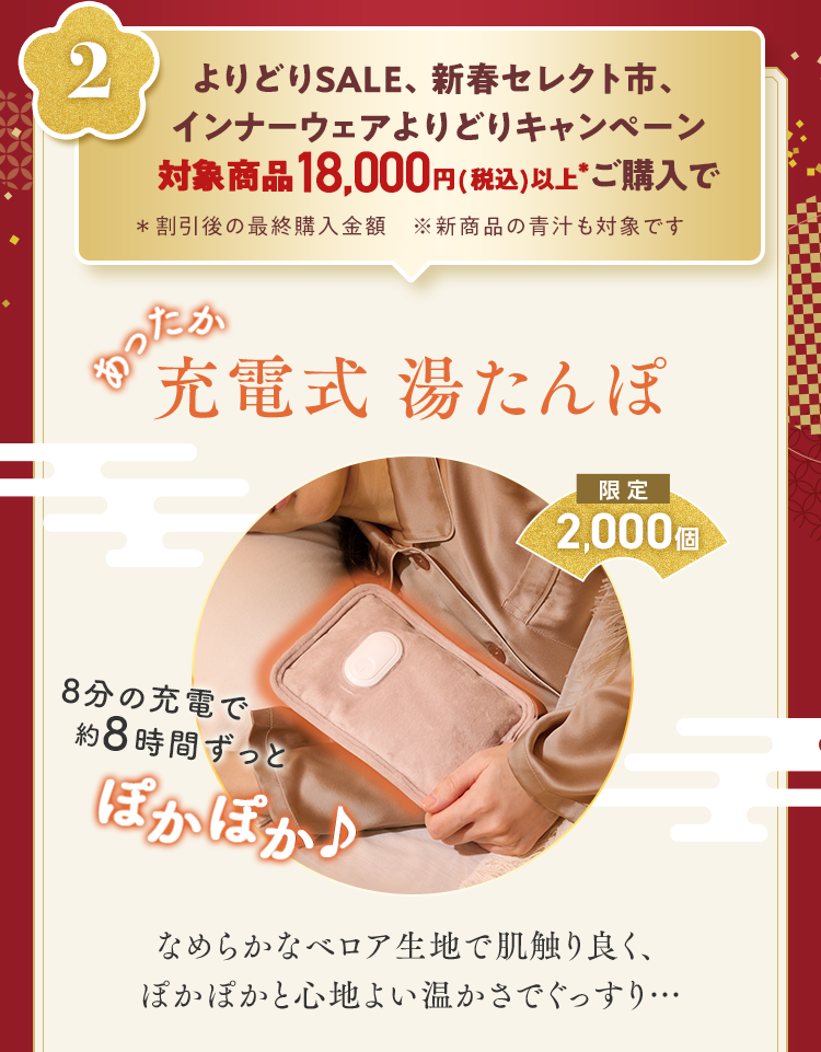2.よりどりSALE、新春セレクト市、インナーウェアよりどりキャンペーン 対象商品18,000円(税込)以上*ご購入で 充電式 湯たんぽ  限定2,000個