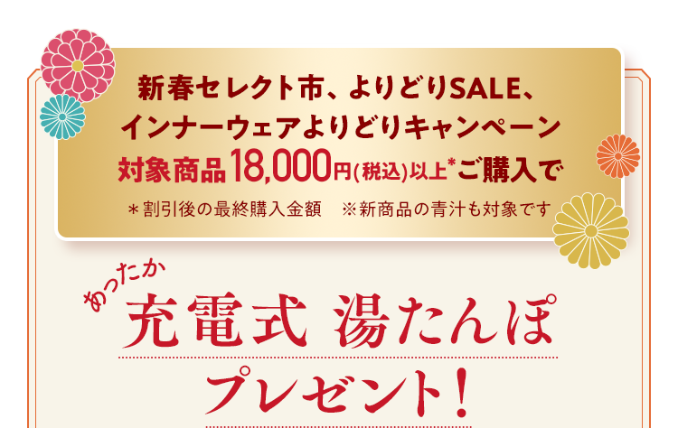 新春セレクト市、よりどりSALE、インナーウェアよりどりキャンペーン 対象商品18,000円(税込)以上*ご購入で 充電式 湯たんぽ プレゼント！