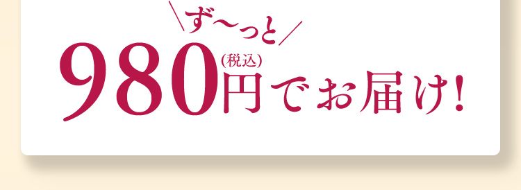 ず～っと980円(税込)でお届け！