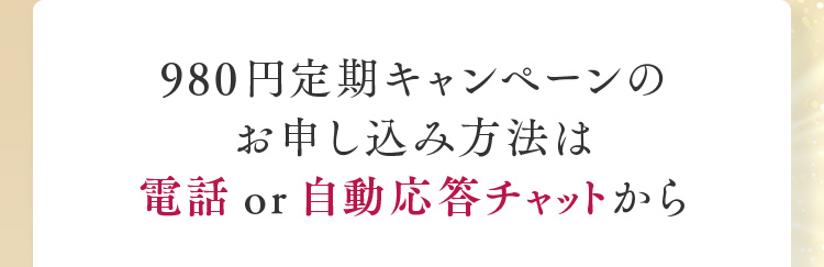 980円定期キャンペーンのお申し込み方法は電話 or 自動応答チャットから