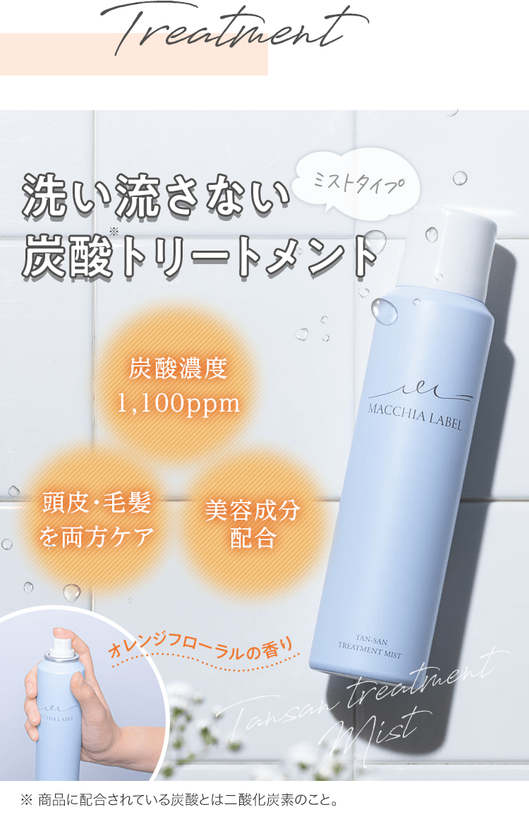 洗い流さない炭酸トリートメント 炭酸濃度1,100ppm 頭皮・毛髪を両方ケア 美容成分配合 ※商品に配合されている炭酸とは二酸化炭素のこと。