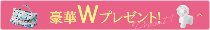 豪華Wプレゼント