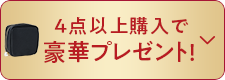 4点以上購入で豪華プレゼント!