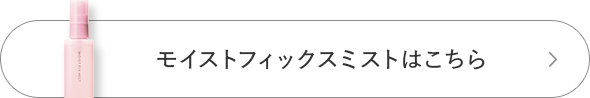 モイストフィックスミストはこちら