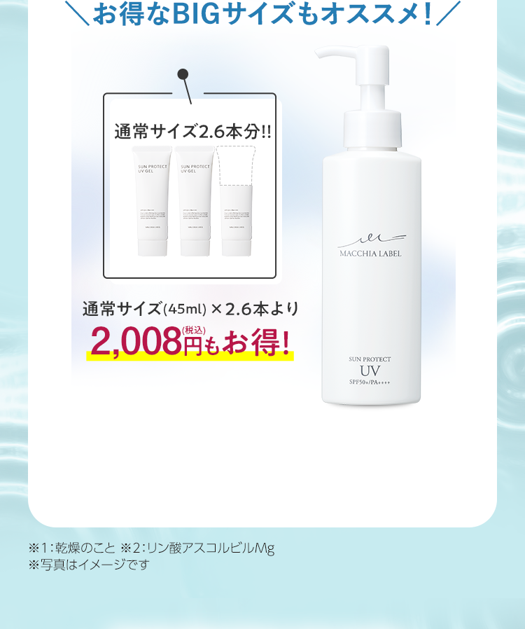 \お得なBIGサイズもオススメ！／